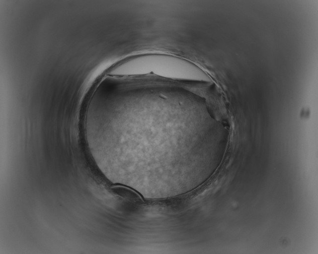 X0000092310200200710121505