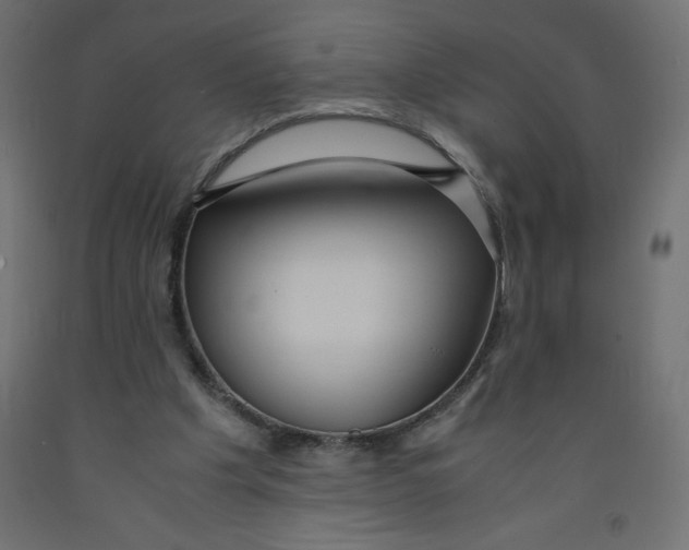 X0000092310201200710121505