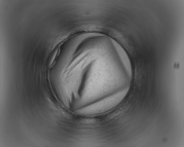 X0000092310202200710121505