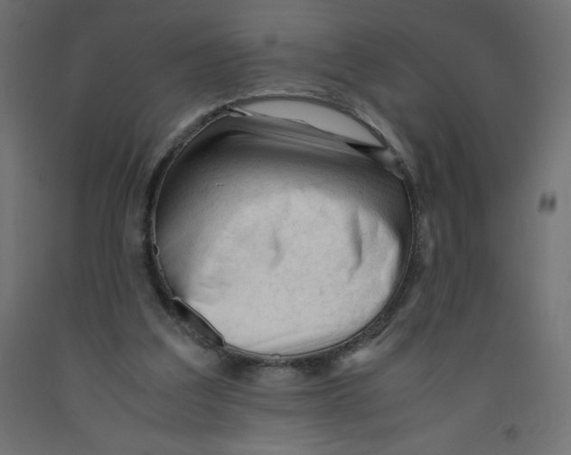 X0000092310203200710121505