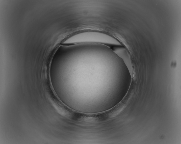 X0000092310205200710121505