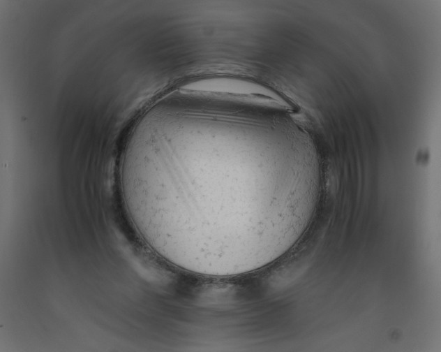 X0000092310206200710121505