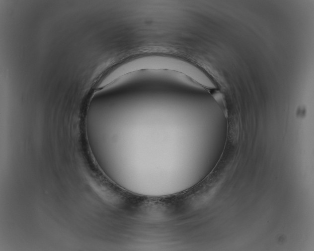 X0000092310207200710121505