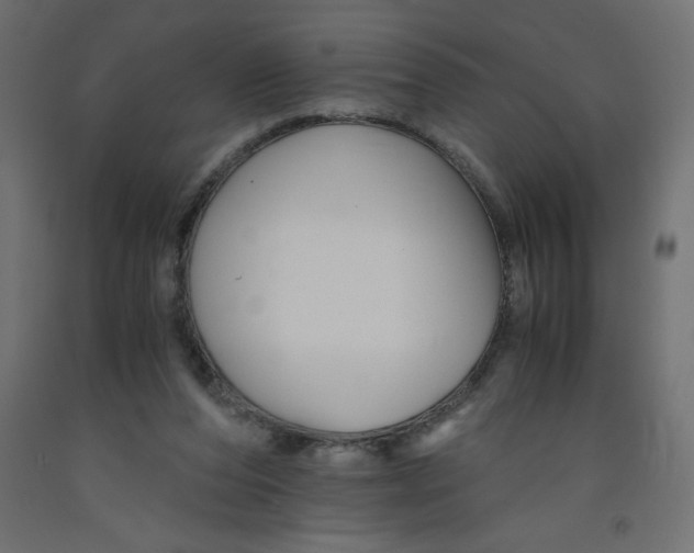 X0000092310208200710121505