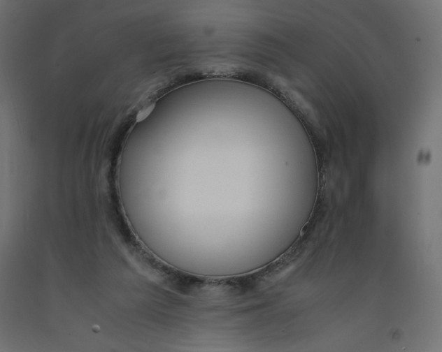 X0000092310209200710121505