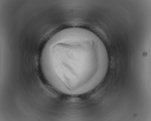 X0000092310210200710121505