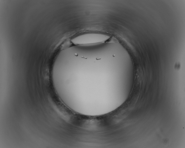 X0000092310212200710121505