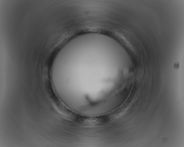 X0000092310213200710121505