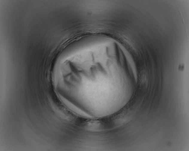 X0000092310214200710121505