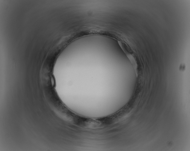X0000092310215200710121505