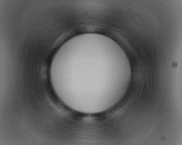 X0000092310216200710121505