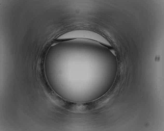 X0000092310217200710121505