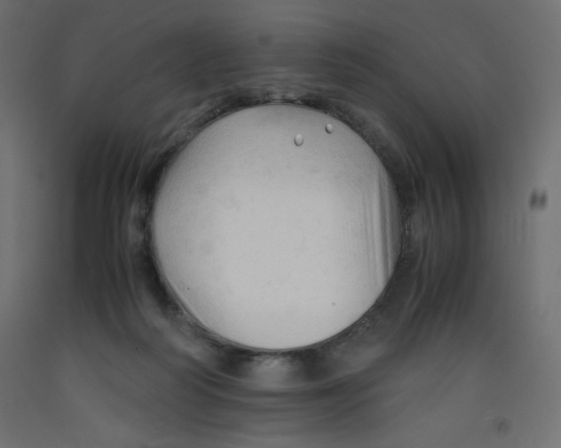 X0000092310218200710121505