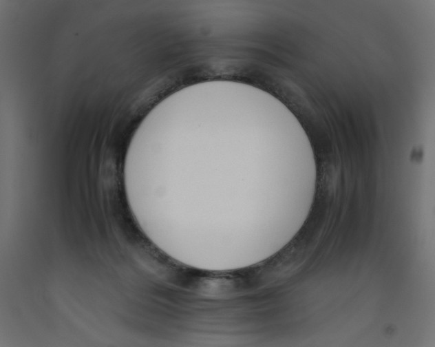 X0000092310220200710121504