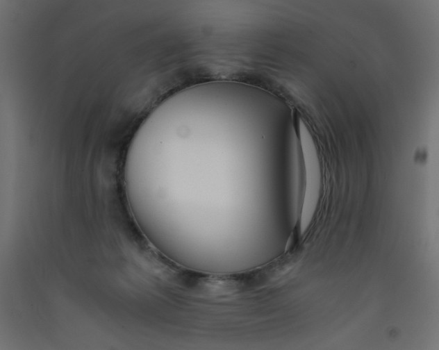 X0000092310221200710121504
