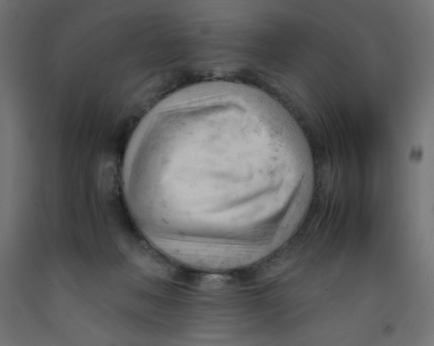 X0000092310222200710121504