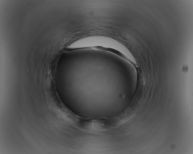 X0000092310223200710121504