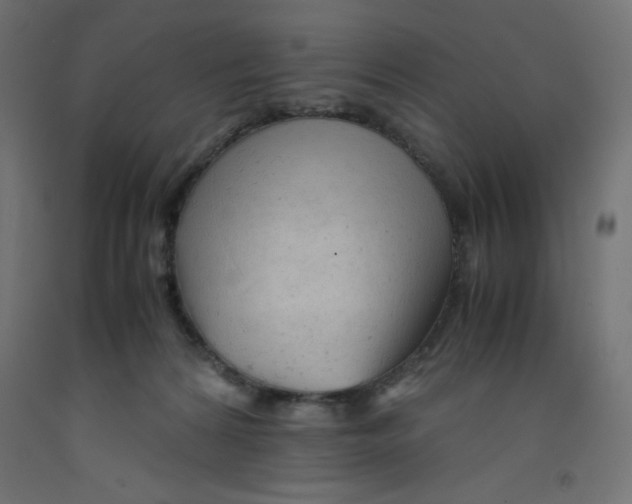 X0000092310224200710121504