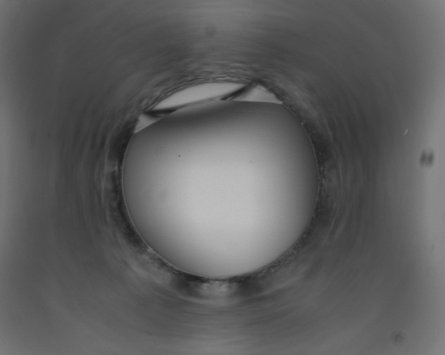 X0000092310225200710121504
