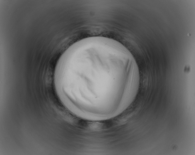 X0000092310226200710121504