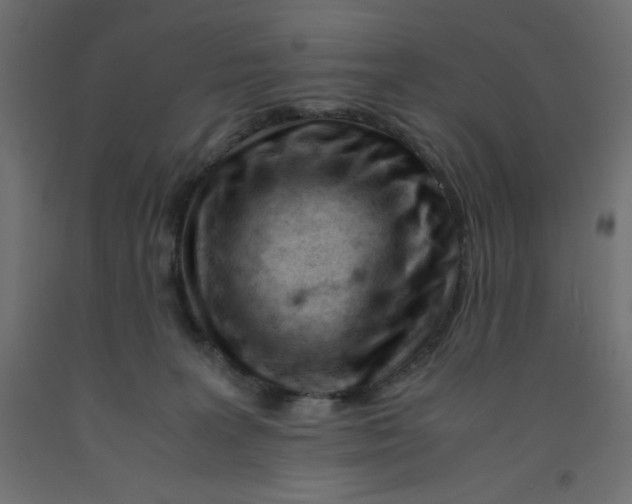 X0000092310227200710121504