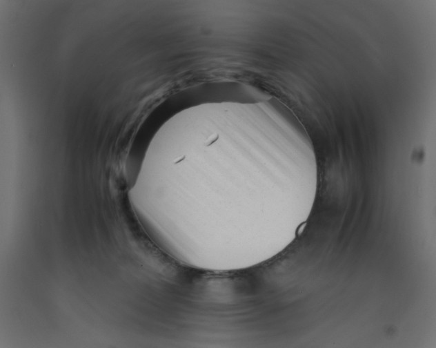 X0000092310228200710121504