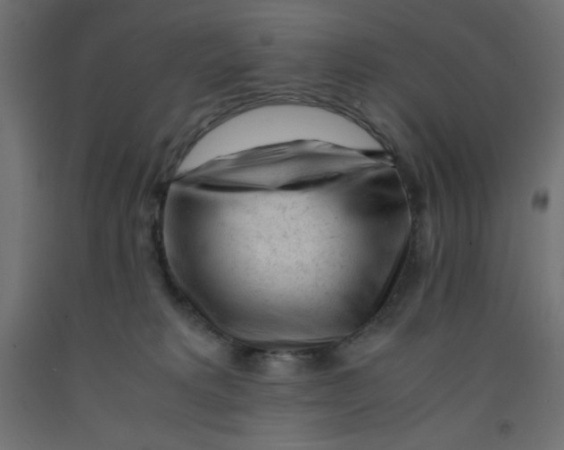 X0000092310229200710121504