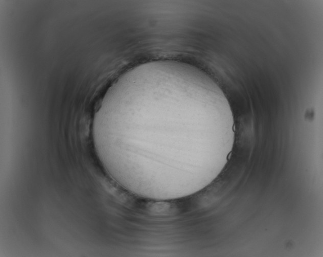 X0000092310230200710121504