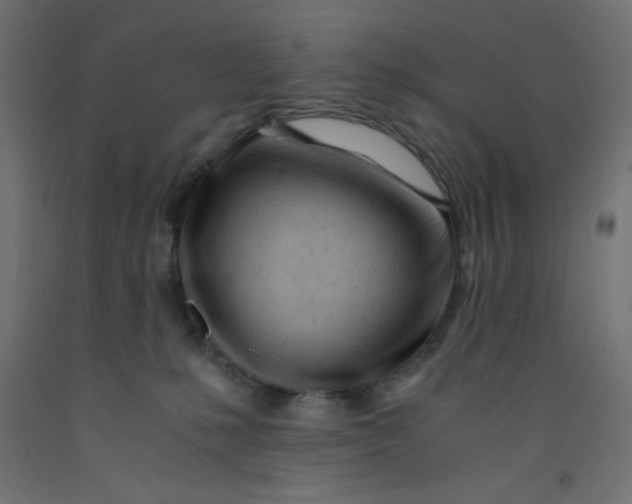 X0000092310231200710121504