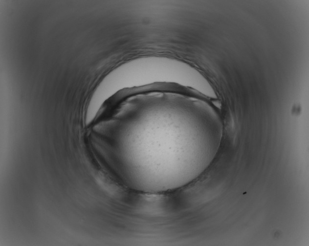 X0000092310233200710121504