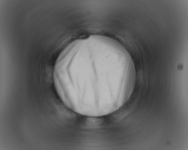 X0000092310234200710121504