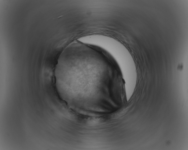 X0000092310235200710121504