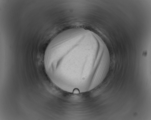 X0000092310236200710121504