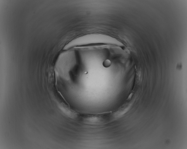 X0000092310237200710121504