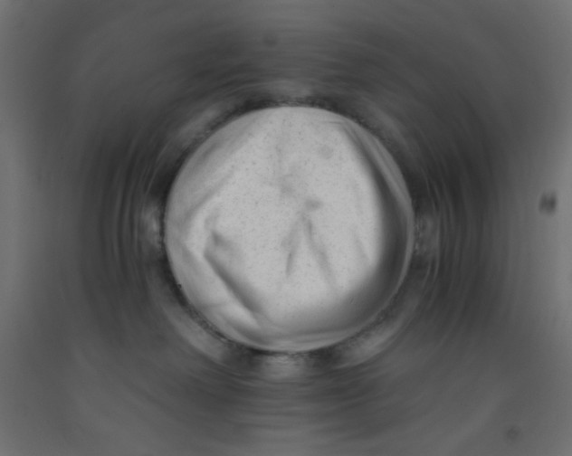 X0000092310238200710121504