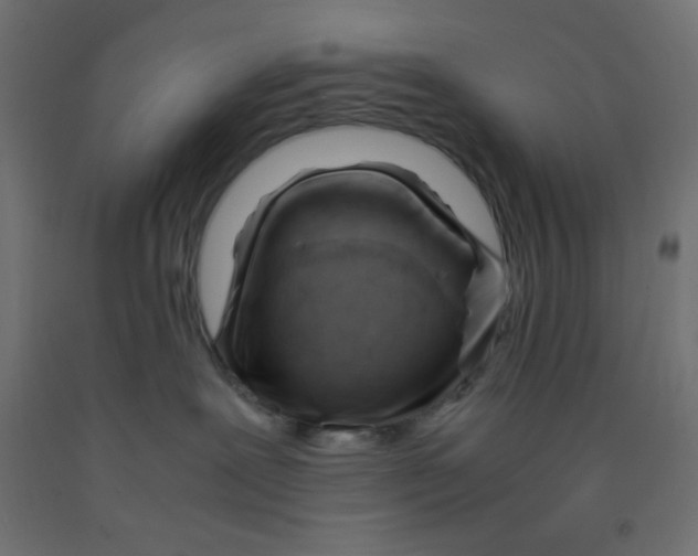 X0000092310239200710121504