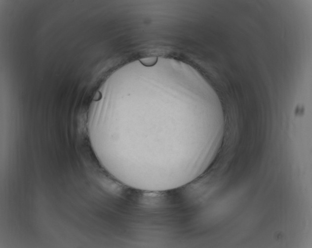 X0000092310240200710121504