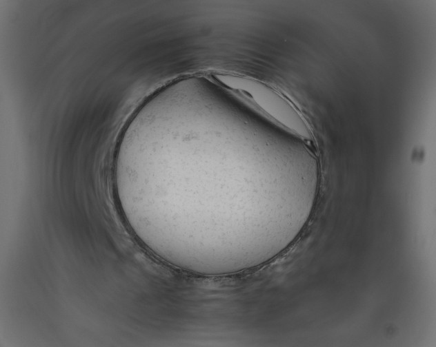 X0000092310241200710121504