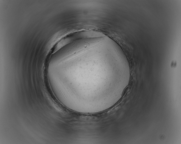 X0000092310242200710121504