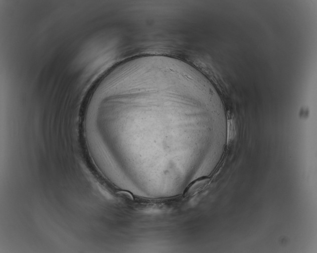 X0000092310243200710121504