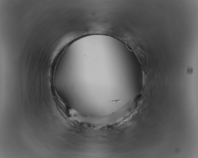 X0000092310244200710121504