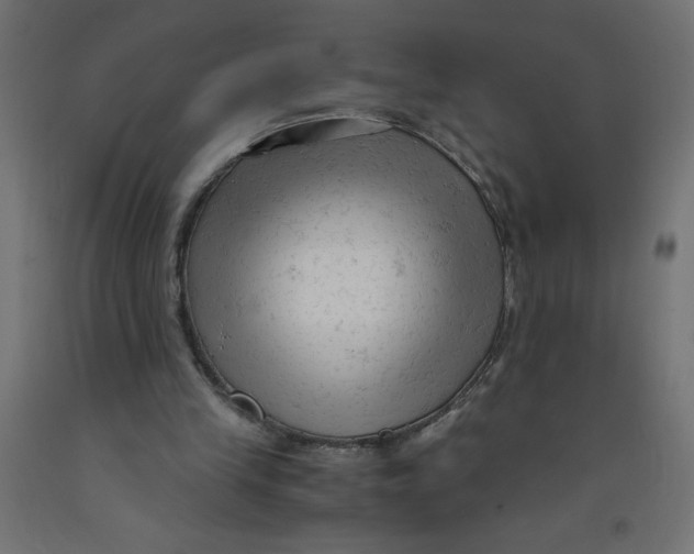X0000092310245200710121504