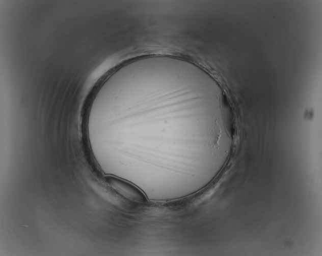 X0000092310246200710121504