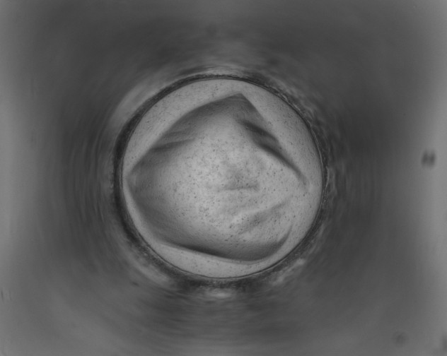 X0000092310247200710121504