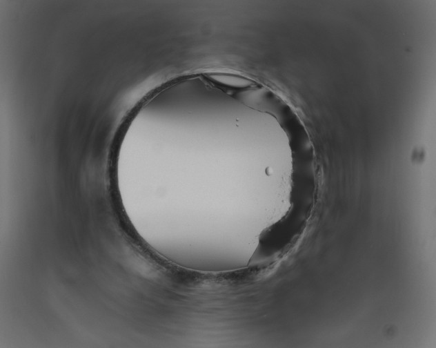X0000092310248200710121504