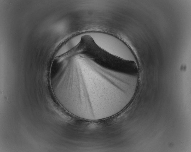 X0000092310249200710121504