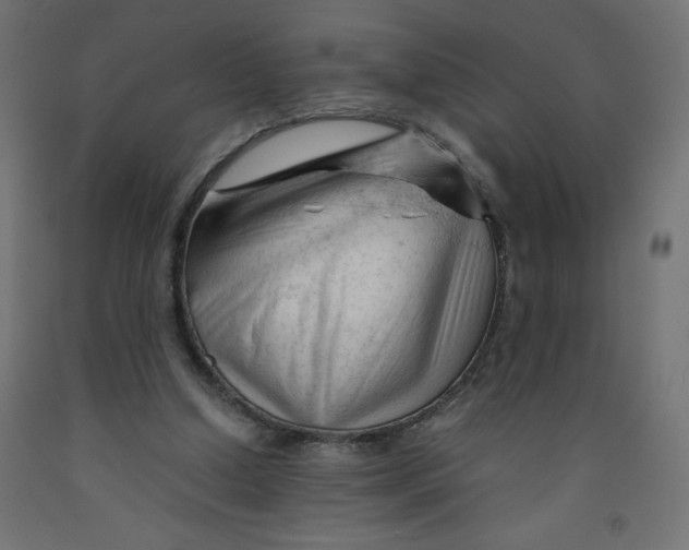 X0000092310250200710121504