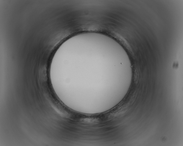 X0000092310251200710121504