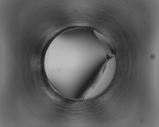 X0000092310252200710121504