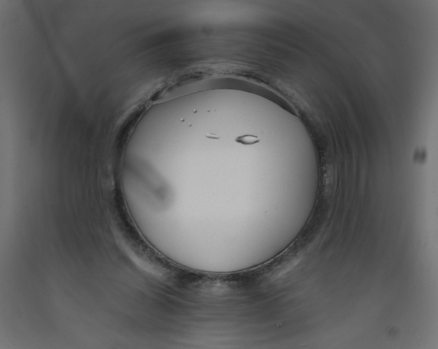 X0000092310254200710121504